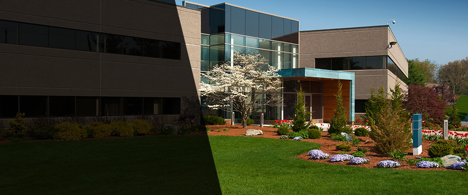 Dilworth Landscapers
