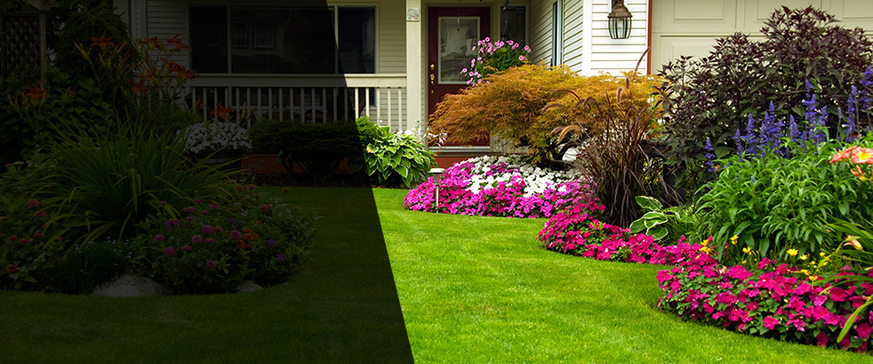 Dilworth Landscapers