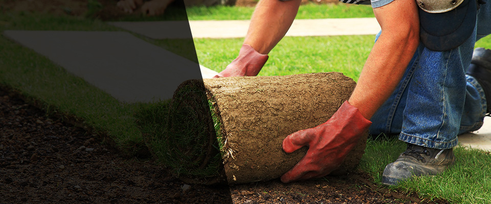 Dilworth Landscapers